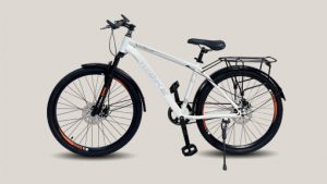 Xe đạp thể thao Wiibike Sapa